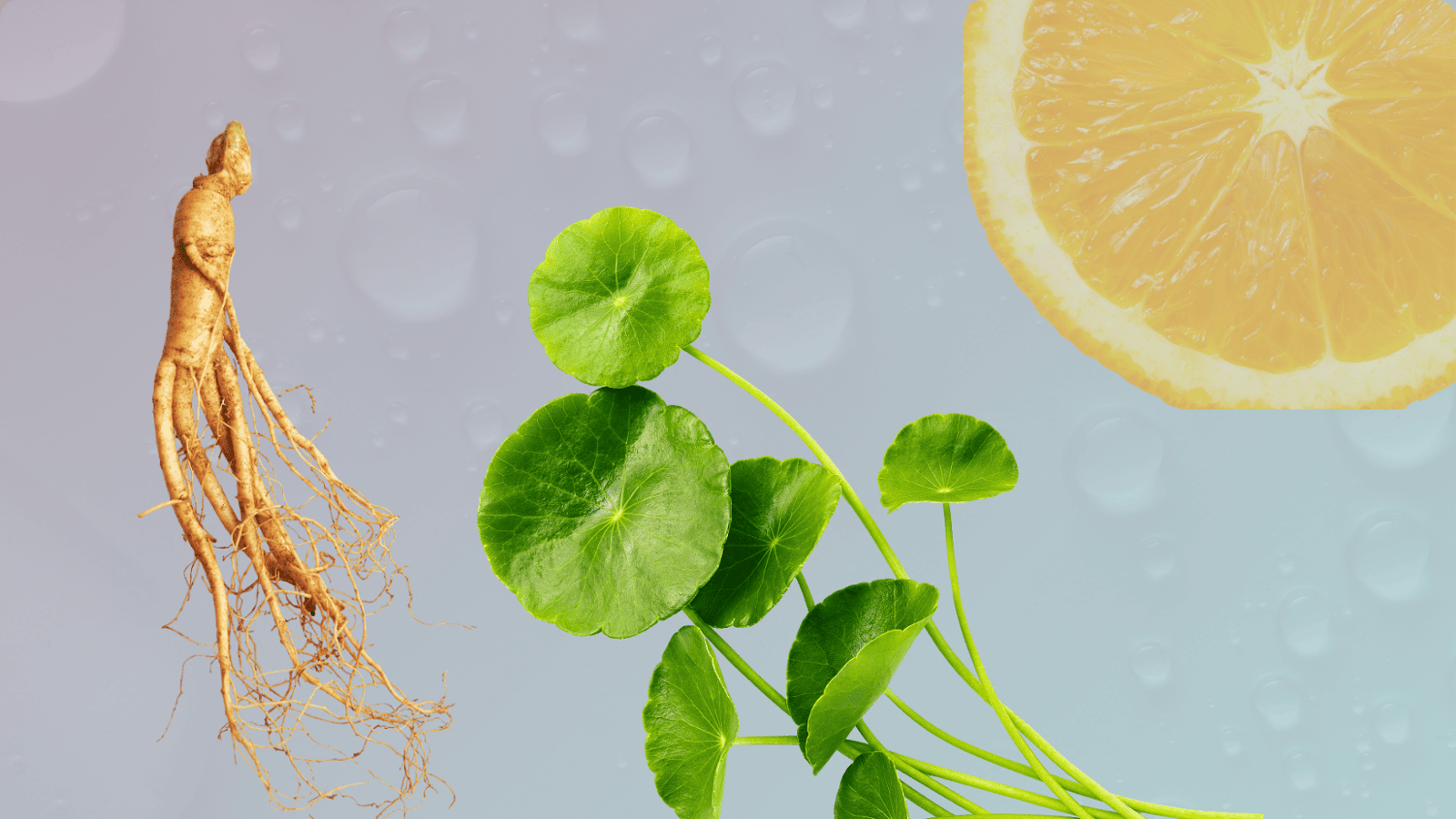 Plant-based collagen alternatives just got real — and here’s the proof